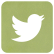 Tweet icon