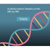 Διαφορές DNA και RNA - Άσκηση αξιολόγησης γνώσεων