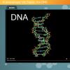 Η ανακάλυψη της δομής του DNA