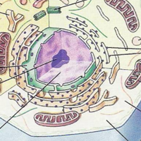 thumbnail of sample learning object 4