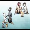 Video - The mouse family