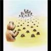 Video - Help our planet